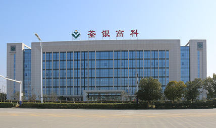 dl1