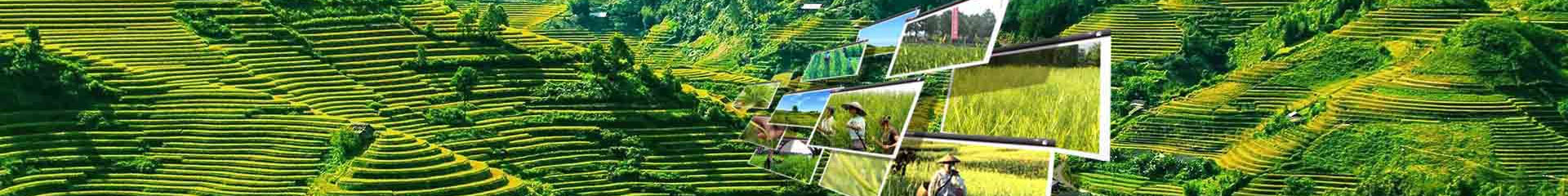 sub-bg